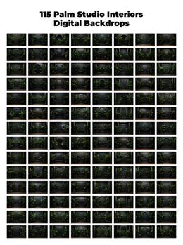 115 Palm Studio Interiors Digital Backdrops, Maternity Backdrop Overlays, Studio Backdrop Overlays, Fine Art Textures, Photoshop Overlays
