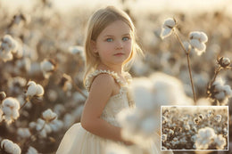 Cotton Field Digital Backdrop: Nature Photography Background (Digital Download)
