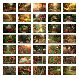 Apple Orchard Digital Backgrounds: Fall Photography Composite (35 JPG)