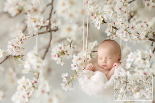Newborn digital background, Cherry Tree Backdrop, Baby Fine Art photography, Creative Composite, Baby Digital Template, Spring Blossom