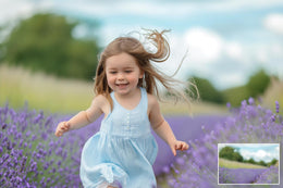Lavender Fields Digital Backdrop Bundle, Purple Flowers, Spring Digital backdrop, Summer, Photoshop, Summer Photography Composite, Maternity