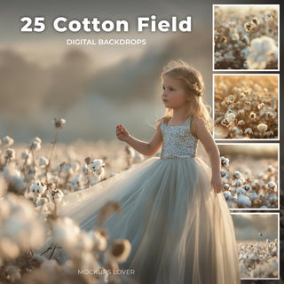 cotton field with wildflowers at sunset, ideal for digital photography and photo editing backgrounds