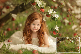 Apple tree blossom white branch backdrops, Blur Photo for Photographers, falling petals, Cherry Blossom, Spring Background, Floral Backdrop