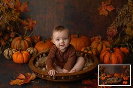 5 Newborn Digital Photography Background Bundle, Pumpkin Backdrop, Fall Leaves, Autumn Studio Baby Boy Girl Photo Prop, Photoshop Composite