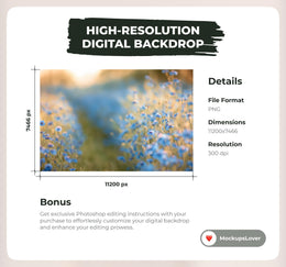 Wildflower Field digital background, Cornflower, Photography Backdrop, Mothers Day, Photoshop Actions, Maternity Backdrop Creative Composite