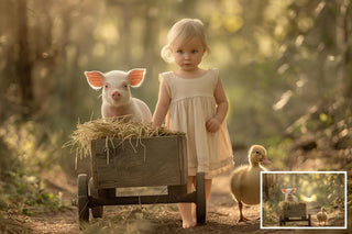 40 Farm Animal Digital Background Bundle, Rustic Photography Backdrop, Pig, Duck, Cow, Hen, Horse, Bear, Autumn Road, Instant Download