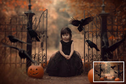 10 Fall Gate Digital Background Bundle, Ravens, Scare Crow, Fall Leaves, Pumpkin, Graveyard, Halloween Backdrop, Portrait Photography