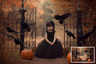 10 Fall Gate Digital Background Bundle, Ravens, Scare Crow, Fall Leaves, Pumpkin, Graveyard, Halloween Backdrop, Portrait Photography