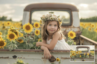 Sunflower Digital Photography Backdrops Set, Vintage Truck Digital Background, Summer Holiday Backdrop, Photo Editing, Rustic, Farm, Field