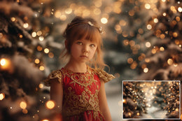 14 Christmas Lights Digital Backdrops Bundle, Holiday Photo Background, Winter Wonderland, Kids Portrait Prop, Photoshop & Canva Template