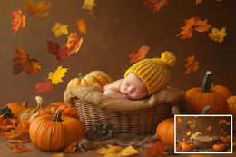 Fall Newborn Digital Photography Background Bundle, Autumn Studio Backdrop, Pumpkin, Baby Girl and Boy Prop, Fall Leaves, Photoshop Template