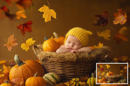 Fall Newborn Digital Photography Background Bundle, Autumn Studio Backdrop, Pumpkin, Baby Girl and Boy Prop, Fall Leaves, Photoshop Template