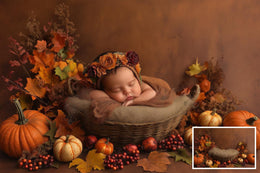4 Fall Newborn Digital Photography Background Bundle, Autumn Nest Backdrop, Pumpkins, Baby Studio Vintage Prop, Photoshop Template