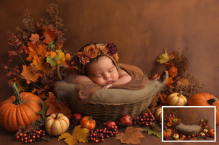 4 Fall Newborn Digital Photography Background Bundle, Autumn Nest Backdrop, Pumpkins, Baby Studio Vintage Prop, Photoshop Template