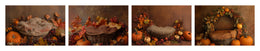 4 Fall Newborn Digital Photography Background Bundle, Autumn Nest Backdrop, Pumpkins, Baby Studio Vintage Prop, Photoshop Template