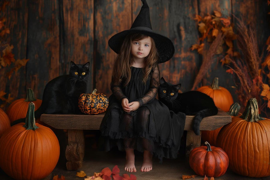 black cat and pumpkins on rustic wooden bench for halloween photoshoot backdrop