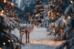 Winter Wonderland Digital Photography Background, Christmas Fantasy Forest Backdrop, Fairy Lights, Holiday Kids Prop, Photoshop Template