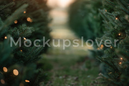 Christmas Tree Farm Digital Backdrop, Winter Wonderland Photo Background, Holiday Kids Portrait Prop, Photoshop & Canva Template
