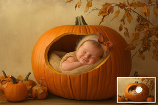 Newborn Fall Pumpkin Face Swap Digital Background Bundle, Face Insert, Add Face Creative Composite Studio Prop, Pumpkin Nest Backdrop