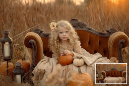 25 Fall Couch Digital Background with Pumpkins, Outdoor Creative Composite, Autumn Meadow Backdrop, Photo Editing, Family & Kids Portrait