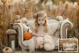 10 Fall Couch Digital Background with Pumpkins, Outdoor Creative Composite, Autumn Meadow Backdrop, Photo Editing, Family & Kids Portrait