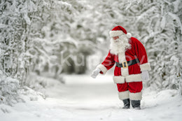 Christmas Digital Backdrop, Santa Claus Background, Fantasy Forest, Holiday Kids Prop, Winter Wonderland, Photoshop & Canva Template