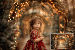 14 Christmas Lights Digital Backdrops Bundle, Holiday Photo Background, Winter Wonderland, Kids Portrait Prop, Photoshop & Canva Template