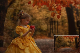 Autumn Digital Background Bundle, Holiday Kids Prop, Pumpkin, Fall Leaves Creative Composite Backdrop, Wedding, Maternity, Family Portrait