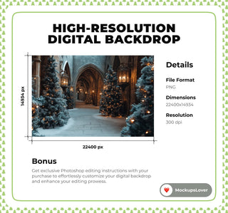 70 Christmas Palace Digital Background Bundle, Winter Castle Digital Backdrop, Cinderella Backdrop, Wedding Photography, Family Portrait