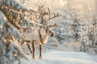 Reindeer Digital Photography Background, Christmas Backdrop, Fantasy Forest Holiday Kids Photo Prop, Winter Wonderland, Photoshop Template