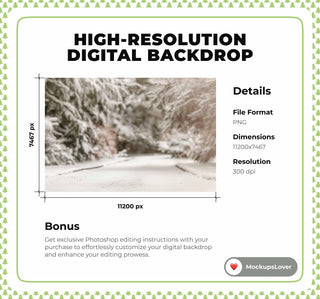 Snowy Forest Digital Photo Background, Winter Wonderland, Holiday Backdrop, Kids Prop, Christmas Princess, Photoshop & Canva Template