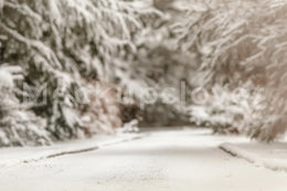 Snowy Forest Digital Photo Background, Winter Wonderland, Holiday Backdrop, Kids Prop, Christmas Princess, Photoshop & Canva Template