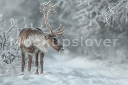 Snowy Reindeer Digital Photography Background, Forest Backdrop, Winter Wonderland Holiday Kids Prop, Woodland Creatures, Photoshop Template