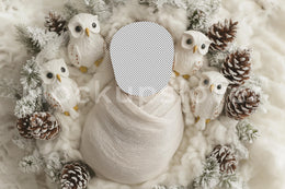 Christmas Newborn Digital Photography Background, Face Swap Overlay, Woodland Creatures, Owl, Holiday Baby Studio Prop, Photoshop Template