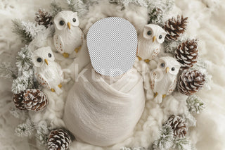 Christmas Newborn Digital Photography Background, Face Swap Overlay, Woodland Creatures, Owl, Holiday Baby Studio Prop, Photoshop Template