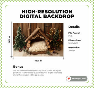 Rustic Christmas Baby Digital Backdrop, Newborn Photo Props, Holiday Wooden Studio Background, Winter Wonderland, Photoshop Template