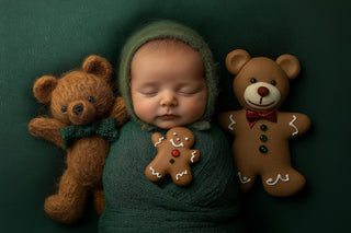 baby with teddy bear in front of christmas backdrop, holiday photo prop, face swap overlay, photoshop template