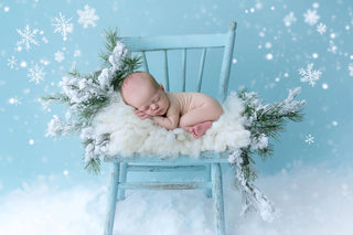 baby in winter scene, rustic christmas backdrop, holiday portrait, newborn photo prop, digital template
