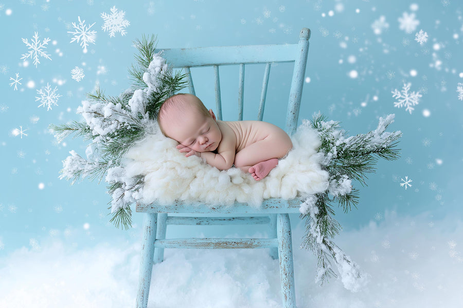 baby in winter scene, rustic christmas backdrop, holiday portrait, newborn photo prop, digital template