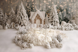 Christmas Newborn Digital Backdrop, Winter Wonderland Background, White Studio, Holiday Baby Portrait Prop, Photoshop & Canva Template