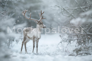 Winter Wonderland Digital Backdrop, Christmas Reindeer Background, Woodland Creatures, Fantasy Forest, Holiday Prop, Photoshop Template