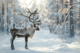 Winter Forest Reindeer Digital Photography Background, Winter Wonderland, Christmas Woodland Animals, Holiday Backdrop, Photoshop Template
