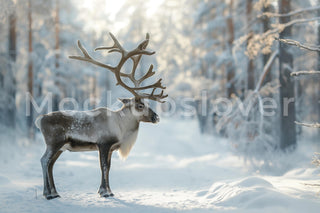 Winter Forest Reindeer Digital Photography Background, Winter Wonderland, Christmas Woodland Animals, Holiday Backdrop, Photoshop Template