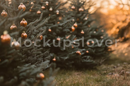 Christmas Tree Farm Digital Background, Holiday Portrait Photography Backdrop, Outdoor Photoshoot, Winter Wonderland, Rustic Christmas Light