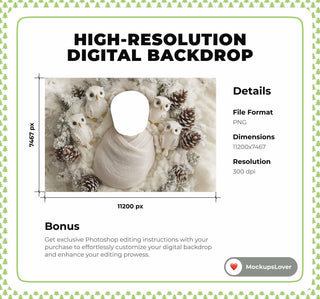 Christmas Newborn Digital Photography Background, Face Swap Overlay, Woodland Creatures, Owl, Holiday Baby Studio Prop, Photoshop Template