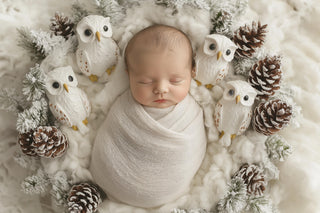 digital backdrop featuring woodland creatures and owl for christmas newborn photos