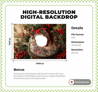 Newborn Christmas Digital Photography Backdrop, Face Swap Overlay, Holiday Baby Girl Photo, Rustic Studio Background, Photoshop Template