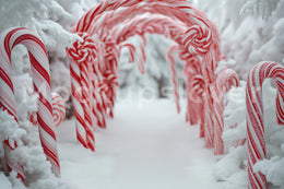 Candyland Christmas Digital Photography Background, Candy Cane Fantasy Forest Backdrop, Arch, Holiday Christmas Portrait, Photoshop Template