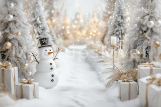 Christmas Snowman Digital Photography Background, Winter Wonderland Backdrop, White Holiday Studio Kids Photo Prop, Photoshop Template