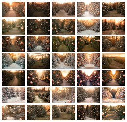 35 Christmas Tree Farm Digital Backdrop Bundle, Winter Portrait Creative Photography Composite Background, Photoshop Template, Xmas Lights